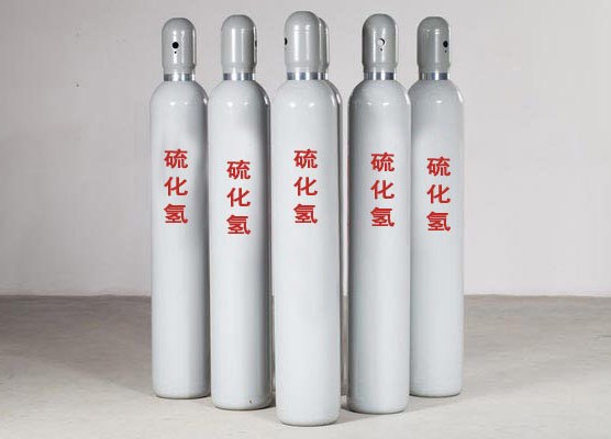 880L硫化氢